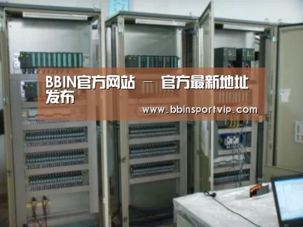 BBIN下载案例展示五