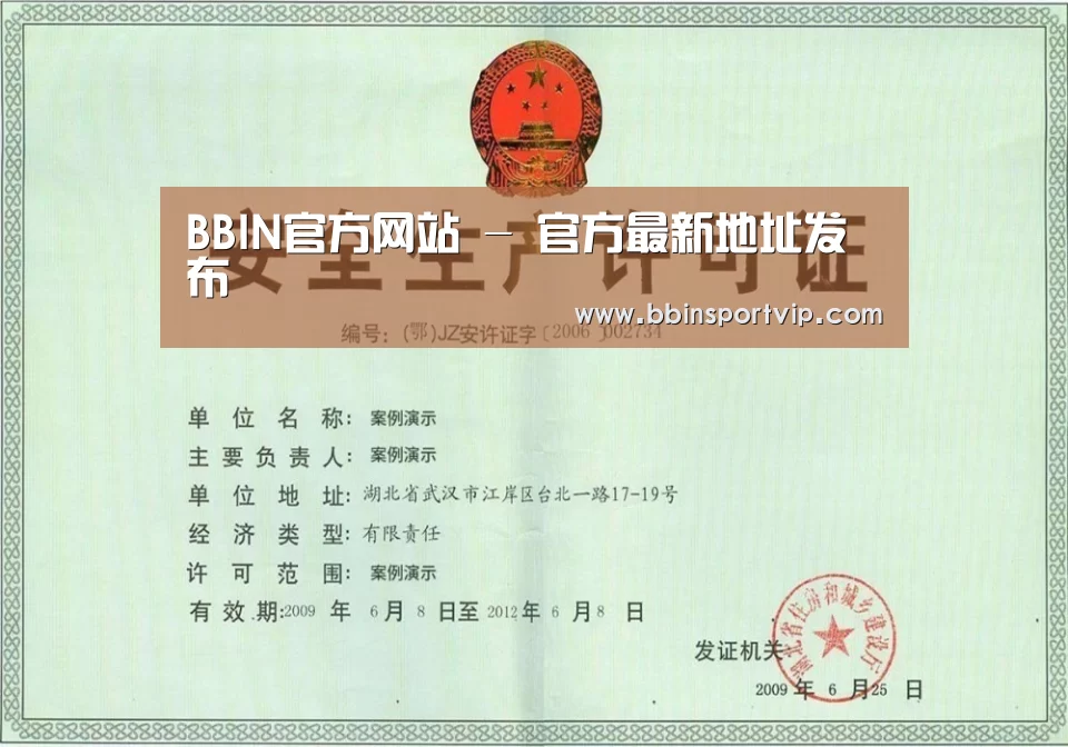 BBIN下载荣誉证书三