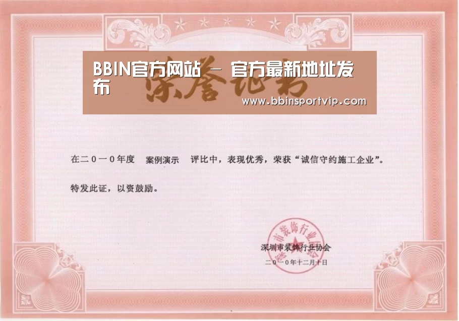 BBIN下载荣誉证书一(图1)