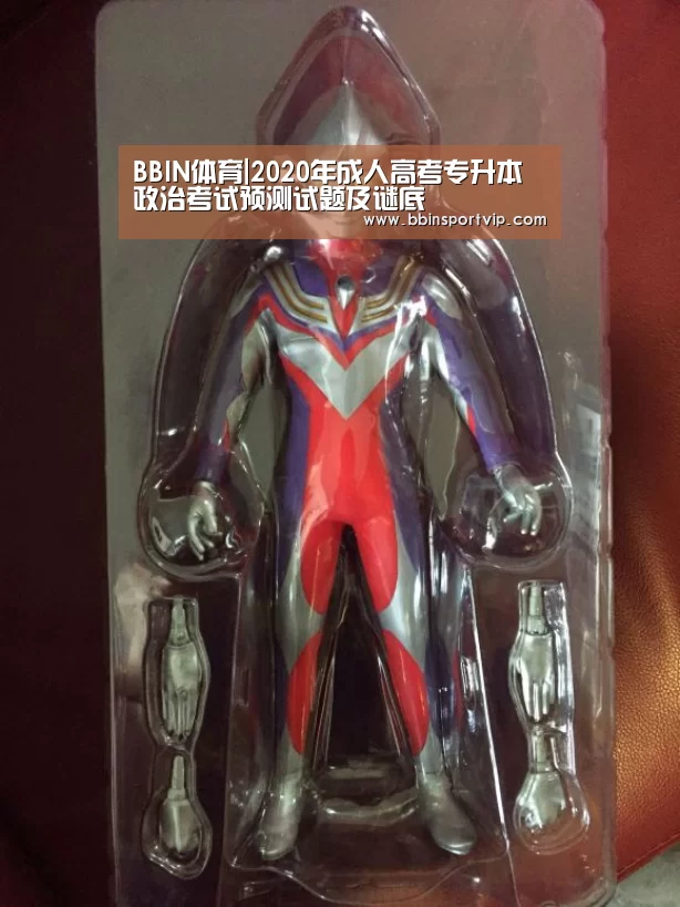 BBIN体育