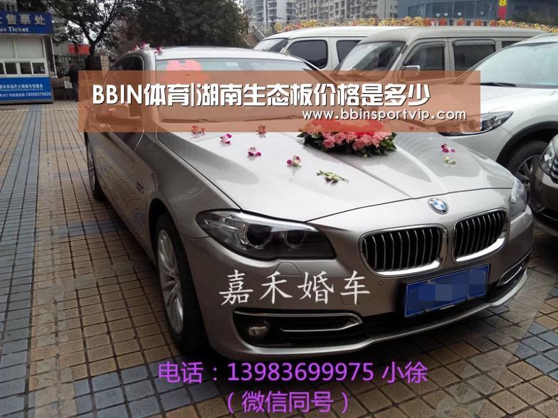 BBIN体育