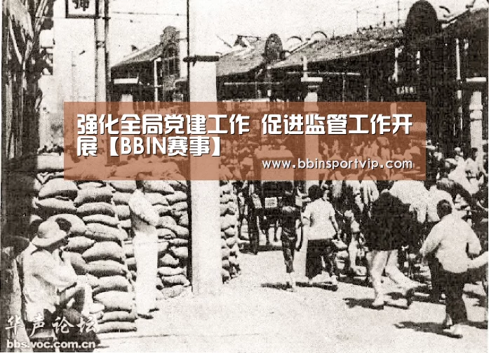 BBIN下载