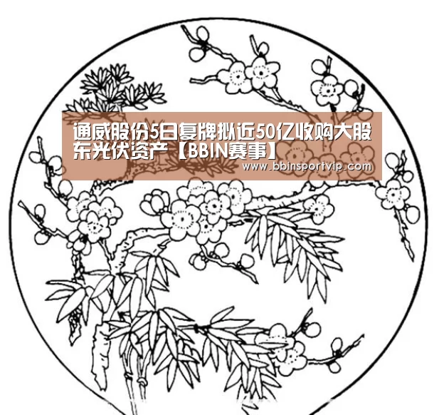 BBIN官网