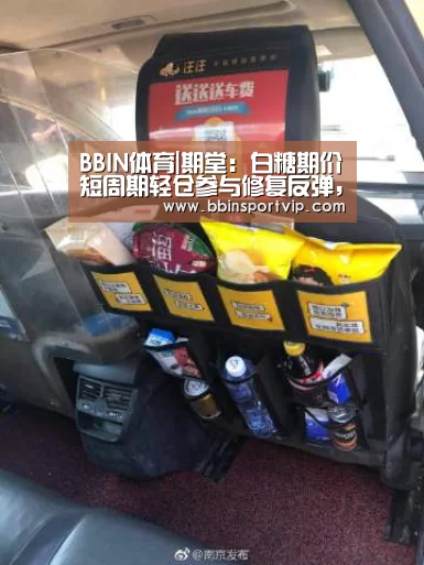 BBIN下载