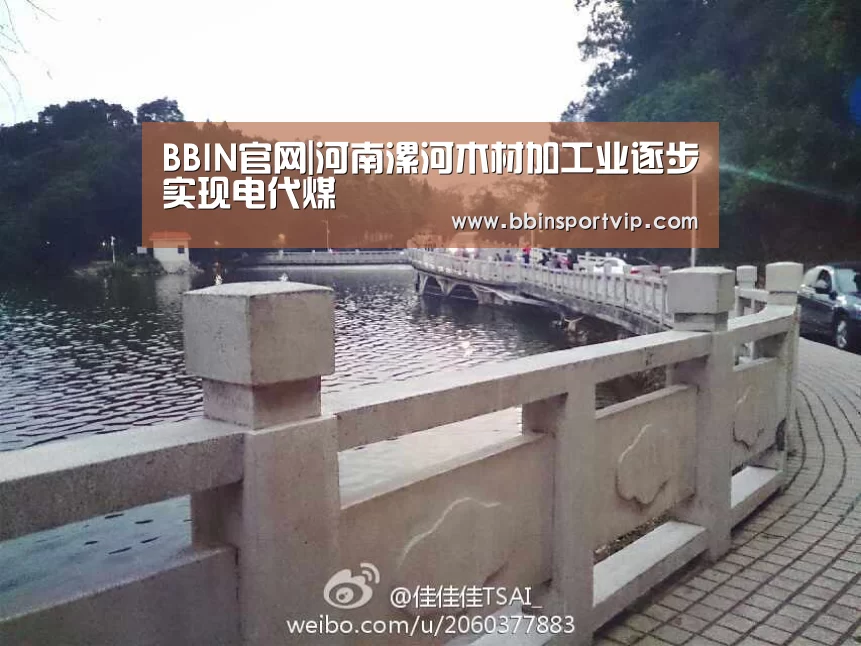 BBIN官网|河南漯河木材加工业逐步实现电代煤(图1) BBIN体育