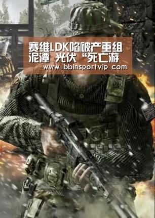 赛维LDK陷破产重组泥潭 光伏“死亡游戏”玩了7年_BBIN下载(图2) BBIN官网